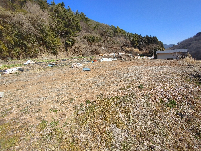 기호 35 토지전경