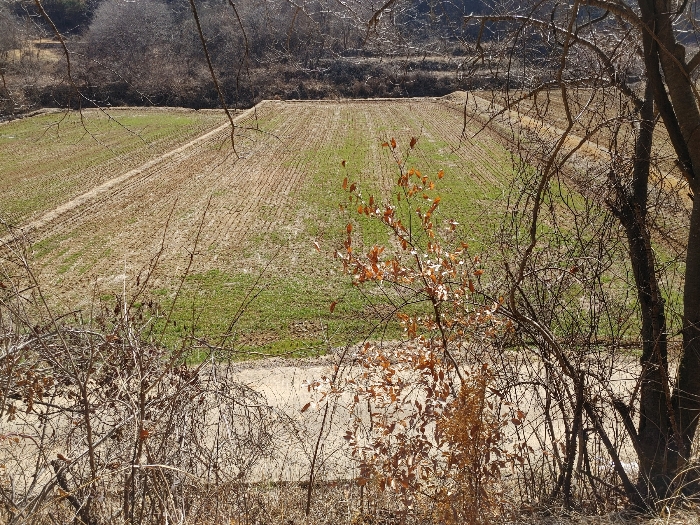 기호 39 토지전경