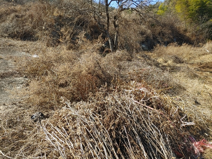 기호 6 토지전경