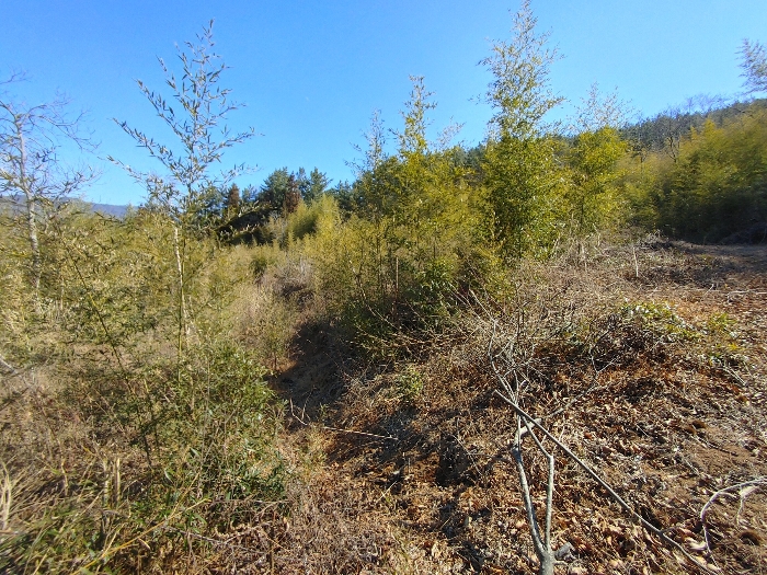 기호 10 토지전경