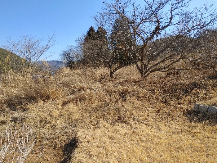 기호 14 토지전경