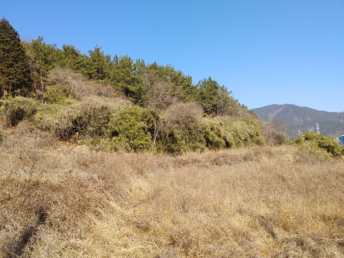 기호 18 토지전경