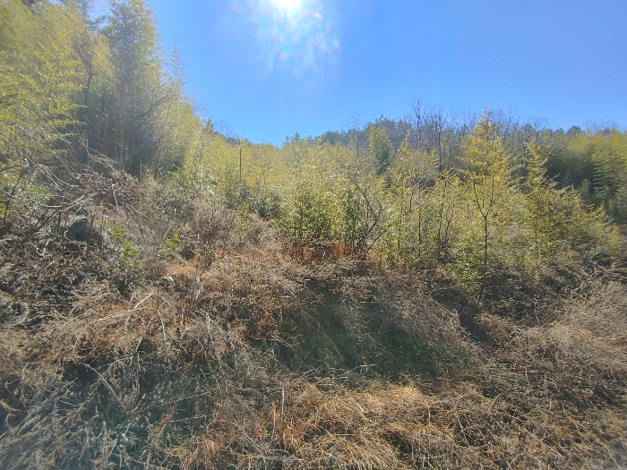 기호 30 토지전경