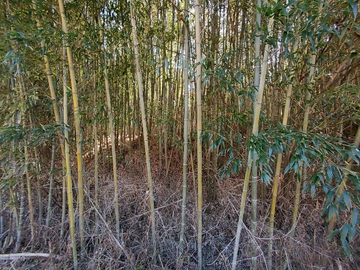 기호 38 토지전경