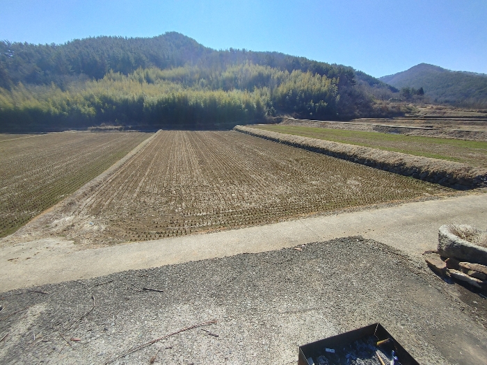 기호 4 토지전경