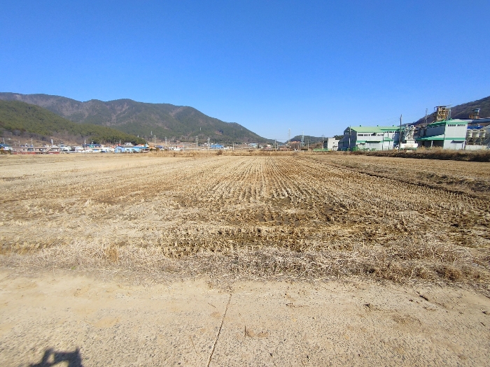 기호 8 토지전경