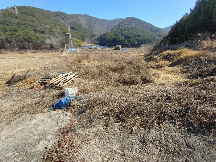 기호 16 토지전경