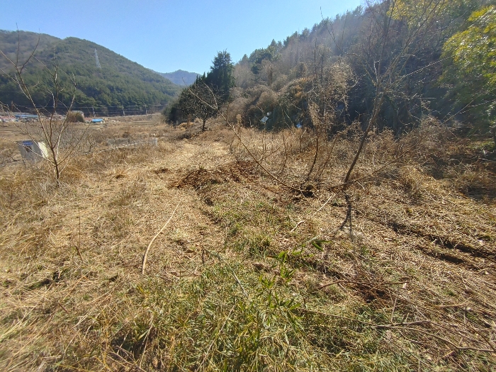 기호 20 토지전경