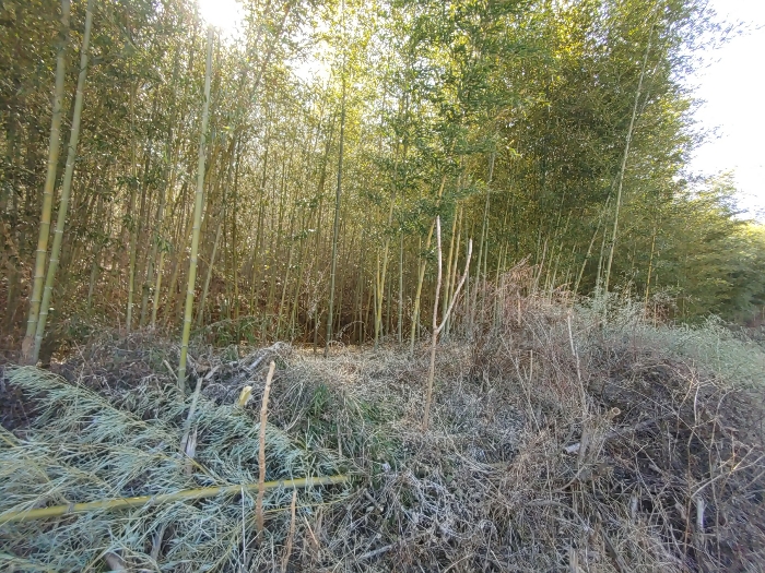 기호 28 토지전경