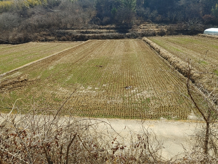 기호 32 토지전경