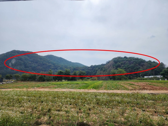 본건 원경(북동측에서 촬영)