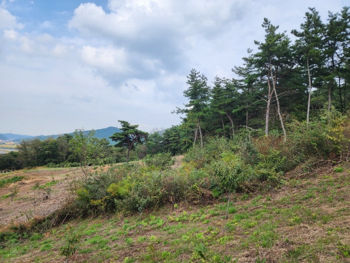 기호(2) 동측 부분 전경