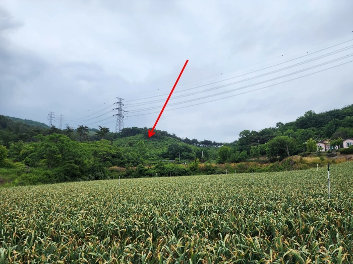 기호(4) 전경 1