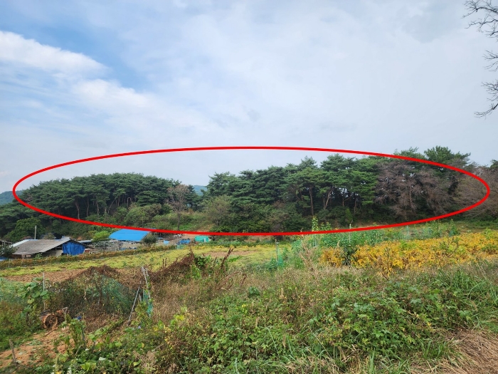기호(2) 북동측 부분 전경