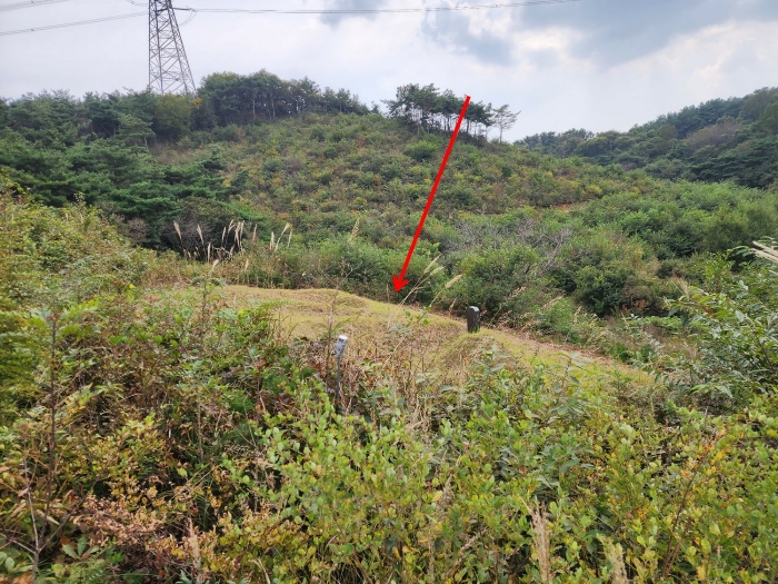 기호(18) 및 지상의 분묘 전경