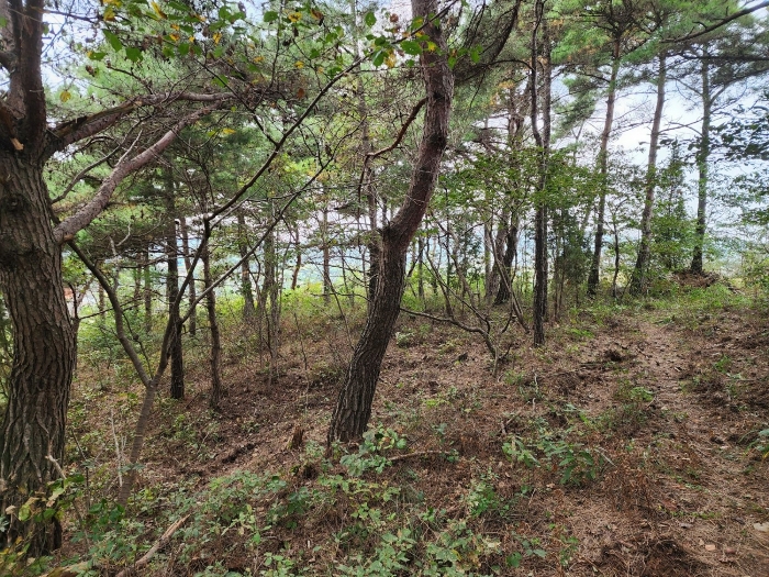 기호(14-16) 전경