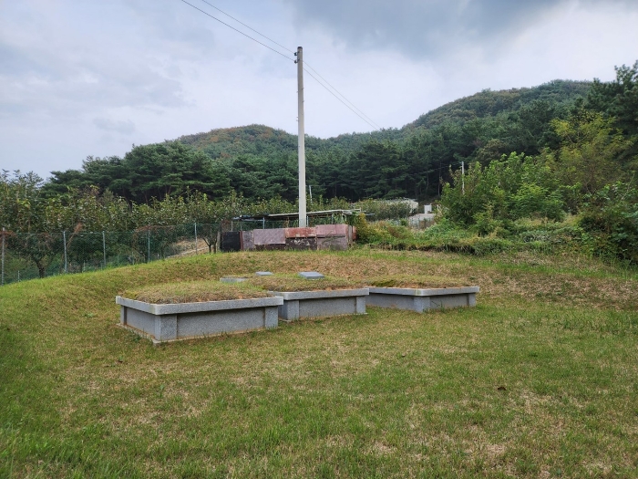 기호(9) 지상의 분묘 전경