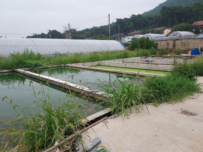제시외구축물 기