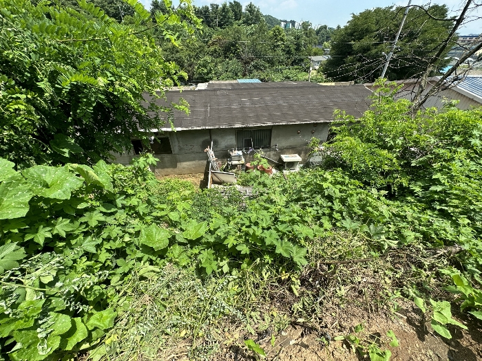 기호 2) 및 제시외건물
