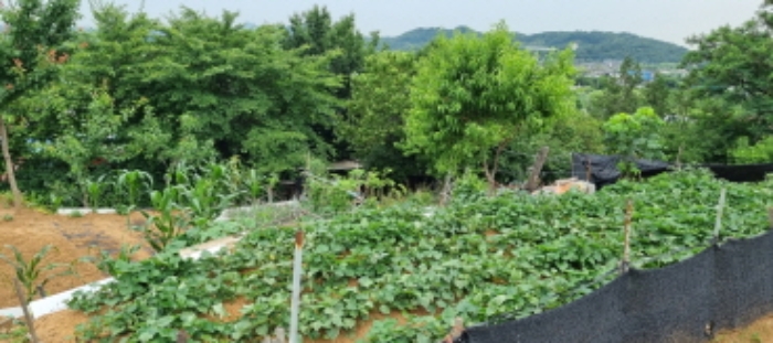 목록1 전경도