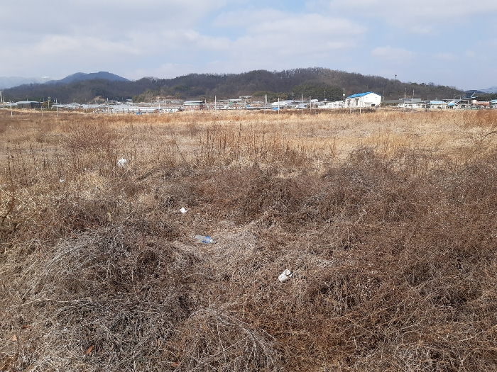 본건 내부전경
