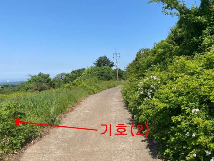 기호(2) 남동측 주변전경