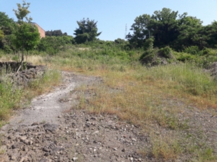 소재지2.(와산리 1219-6) 전경