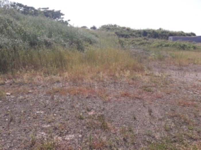 소재지2.(와산리 1219-6) 전경