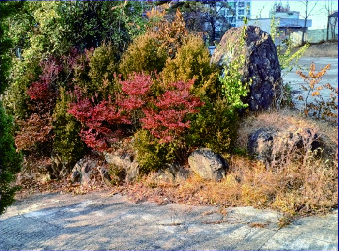 본건 (2) 토지상의 수목, 조경석