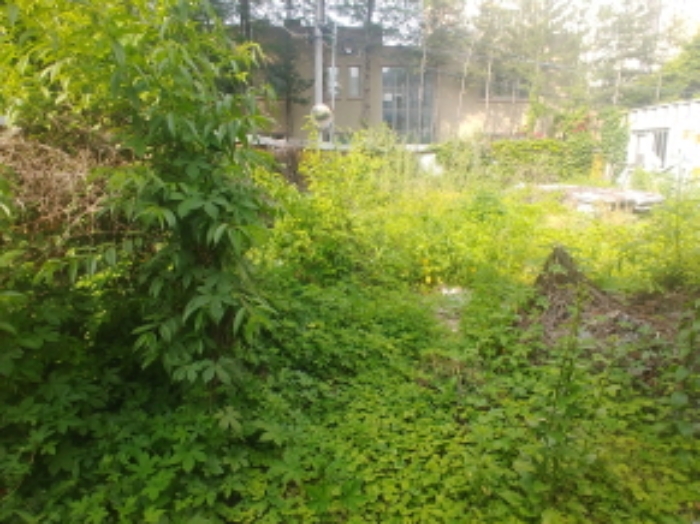 목록1,2 전경 (6)