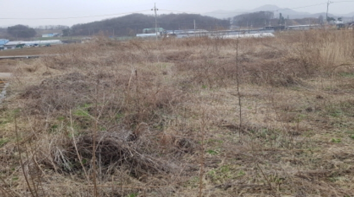 * 목록2. 전경