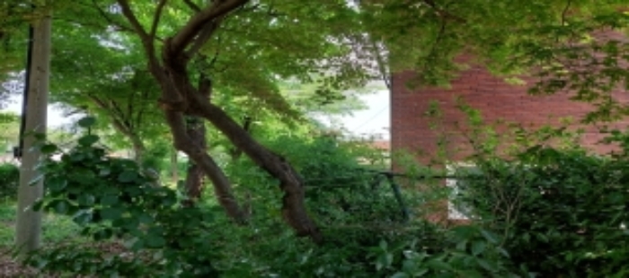 목록3 토지 일부 전경