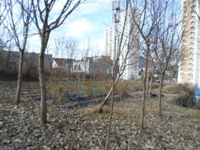 목록1 근접촬영