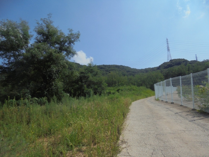 본건 전경 북측에서 촬영