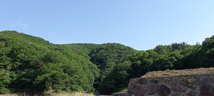 본건 일련번호(11) 토지 전경