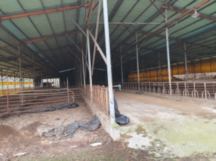 부동산표시 2번 건물 내부 전경