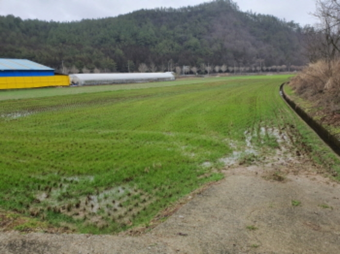 부동산표시 8번 전경