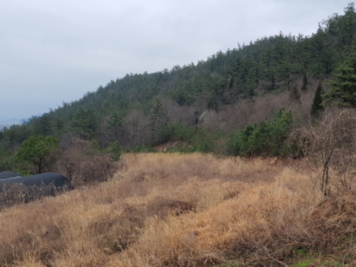 부동산표시 9번 전경