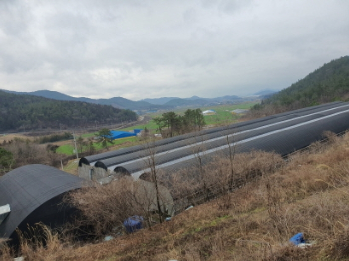 부동산표시 1,12,13,15번지상 제시외 건물(축사) 전경