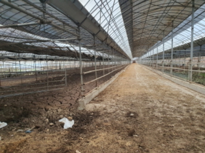 부동산표시 1,12,13,15번지상 제시외 건물(축사 내부) 전경