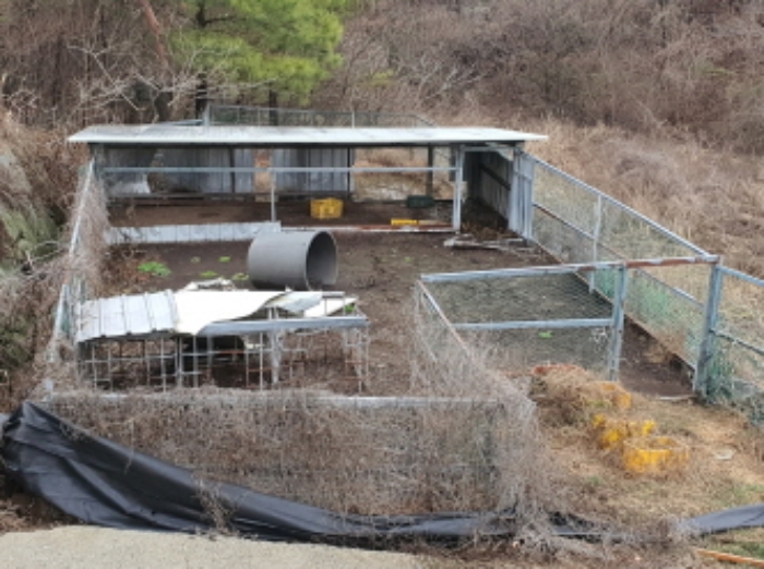 부동산표시 14번지상 제시외 건물(계사) 전경