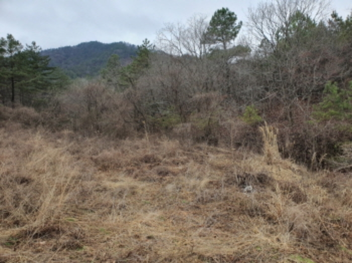 부동산표시 17,18,19번 전경