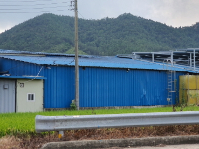 부동산표시 3번지상 제시외 건물(축사창고)전경