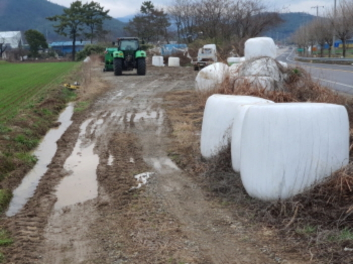 부동산표시 5,6번 전경