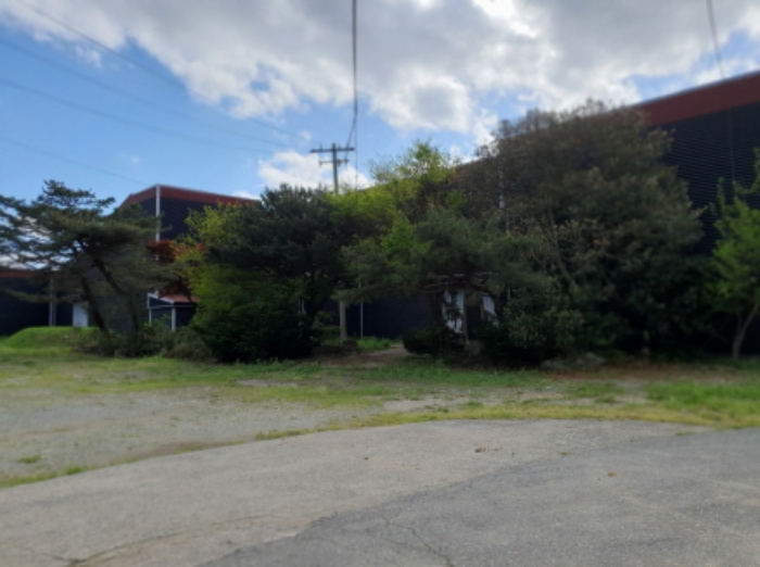 부동산표시 9번지상 조경수 전경