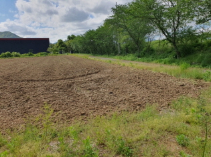 부동산표시 5번 전경
