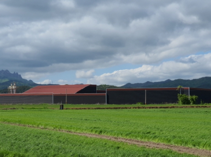 본건 건물 전경