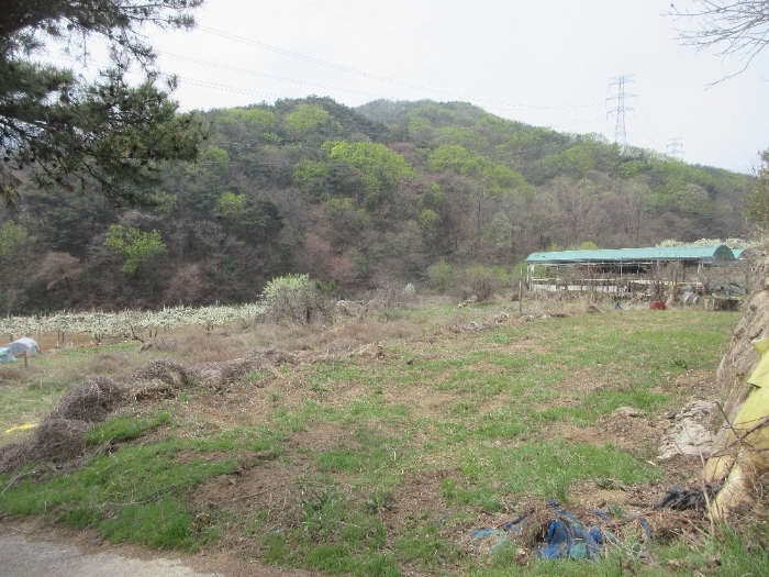 본건 기호1),2)전경