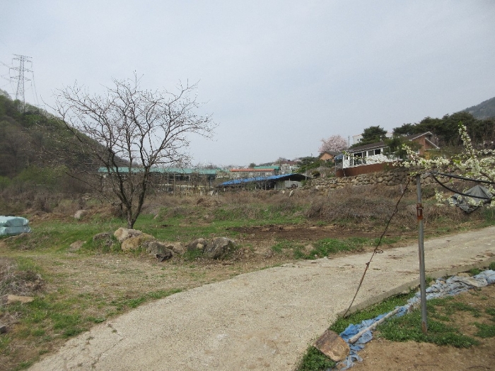 본건 기호1),2)전경