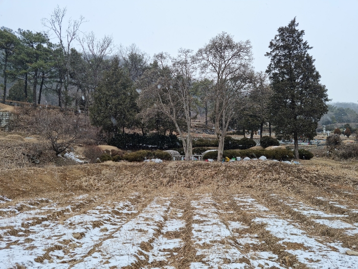 북측 및 묘지부분(남측에서 촬영)